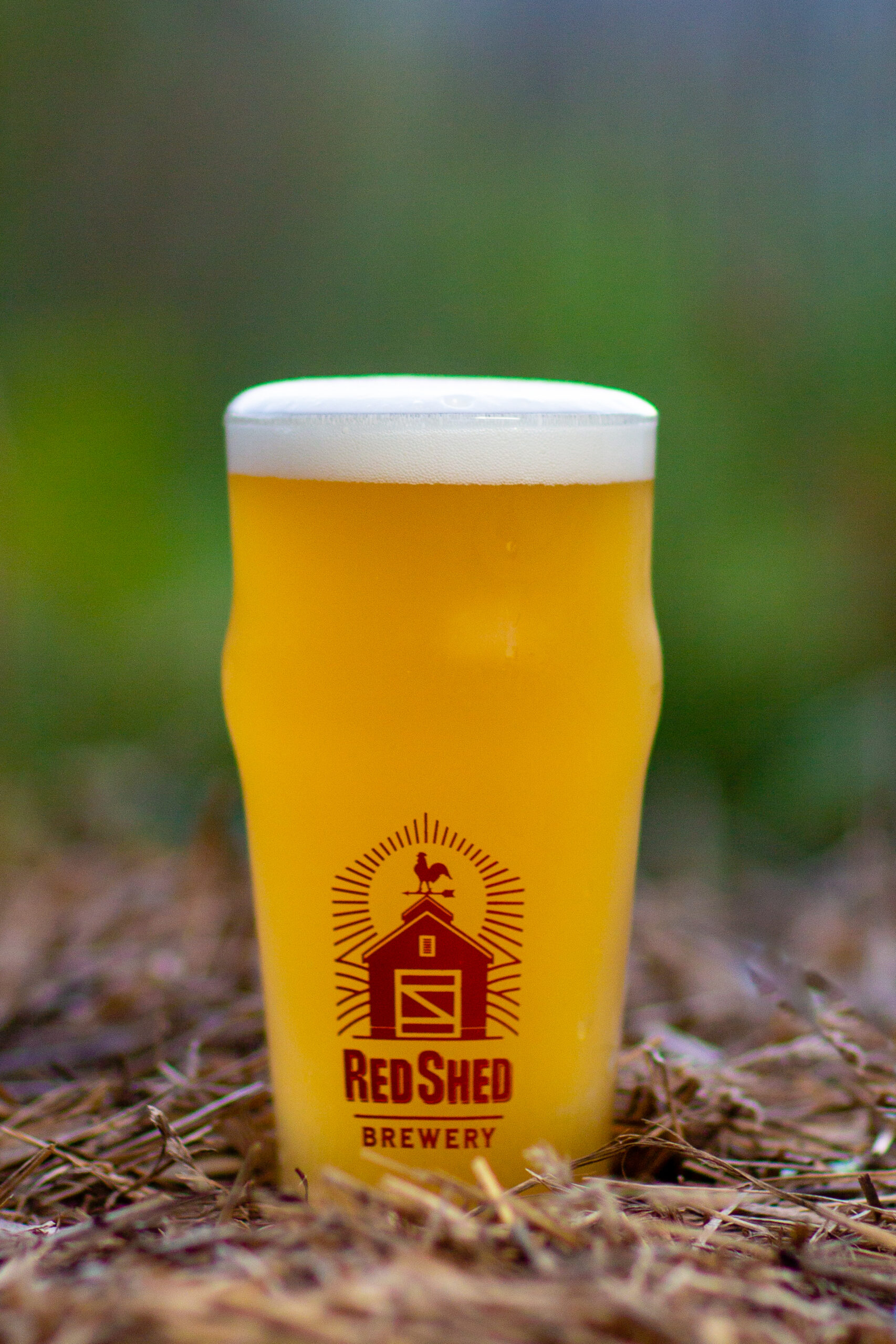 Our Beers, Red Shed Brewing