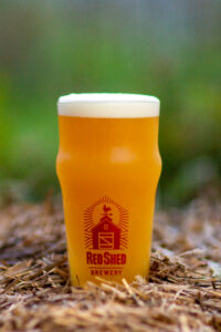 Pumpkin Saison-Style Ale, Red Shed Brewing