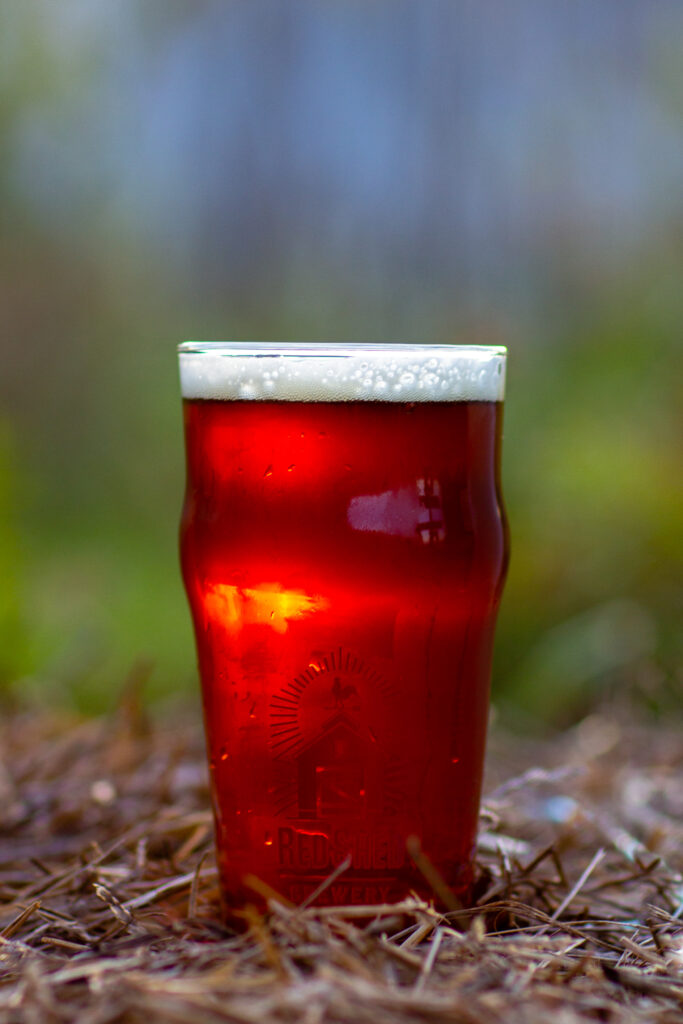 Pint of Jessica's Red Ale