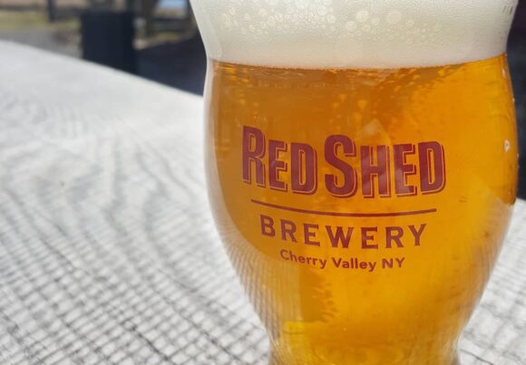 Introduction to: The Golden Ale Blog, Red Shed Brewing