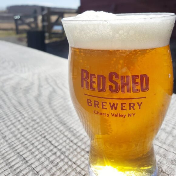 Introduction to: The Golden Ale, Red Shed Brewing