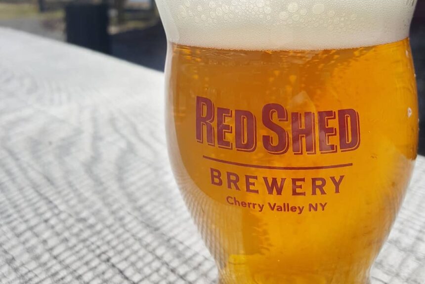 Introduction to: The Golden Ale, Red Shed Brewing