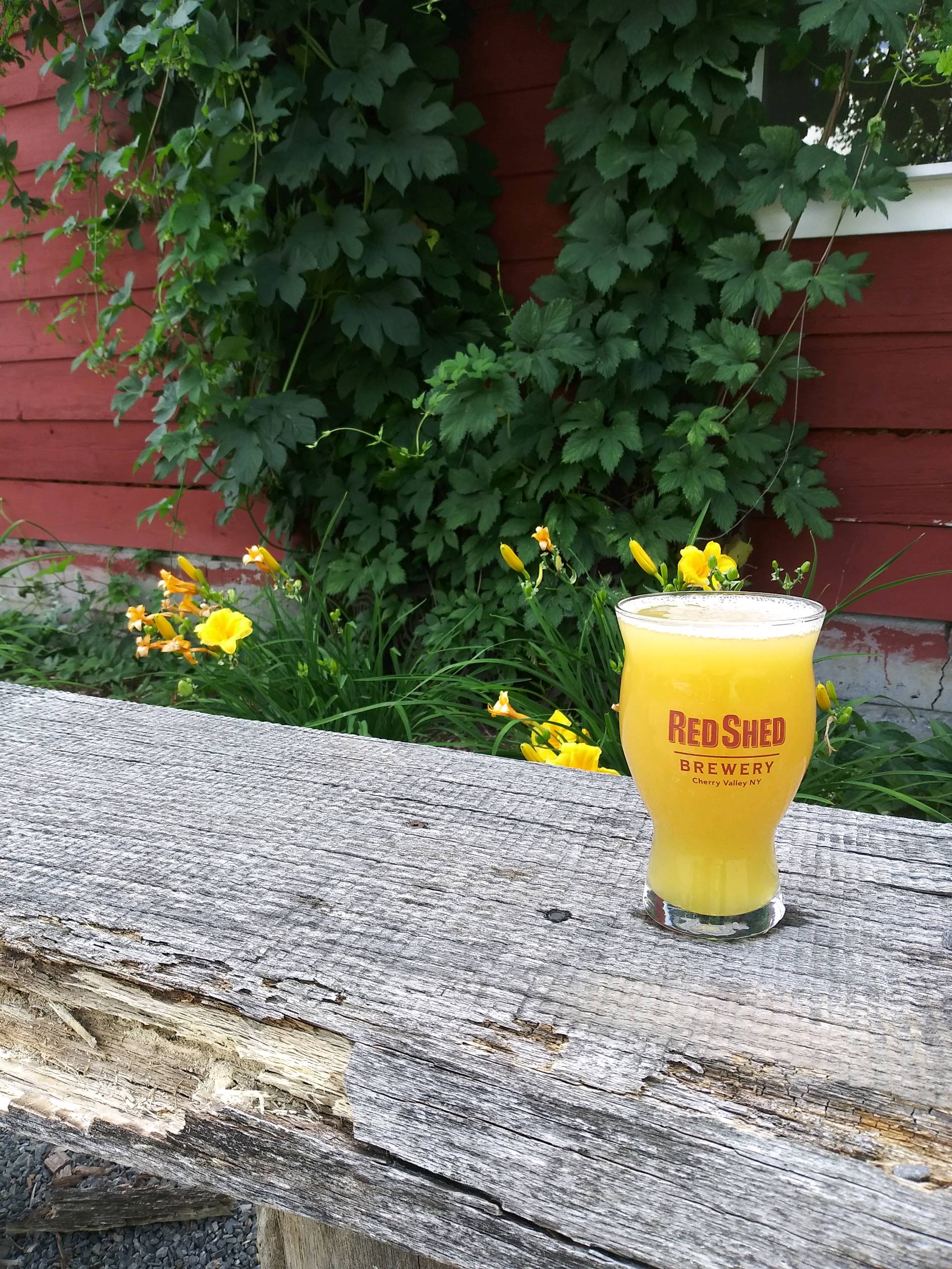 Cloudy Girl Hazy IPA, Red Shed Brewing