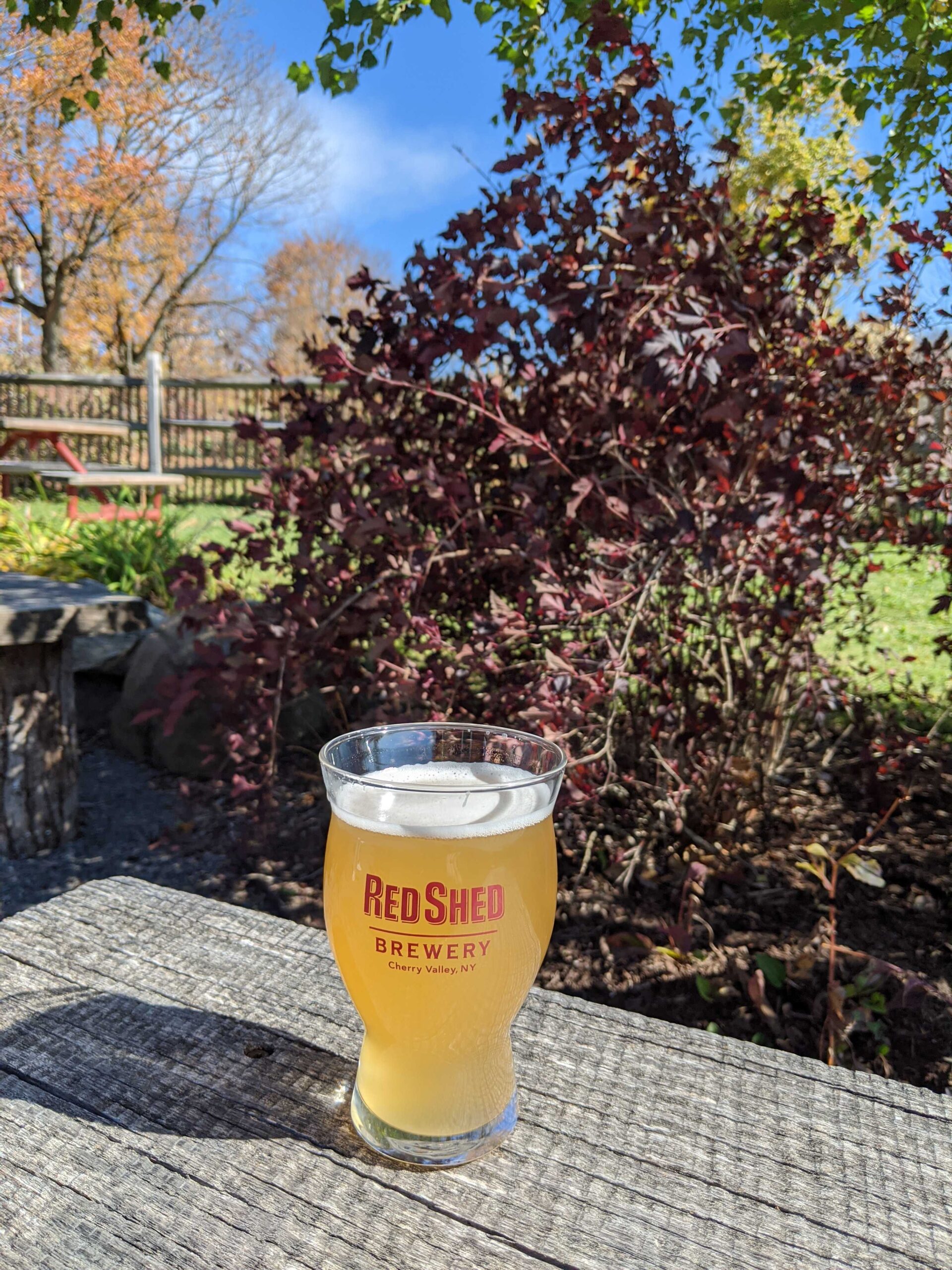Henry&#8217;s Hefeweizen, Red Shed Brewing