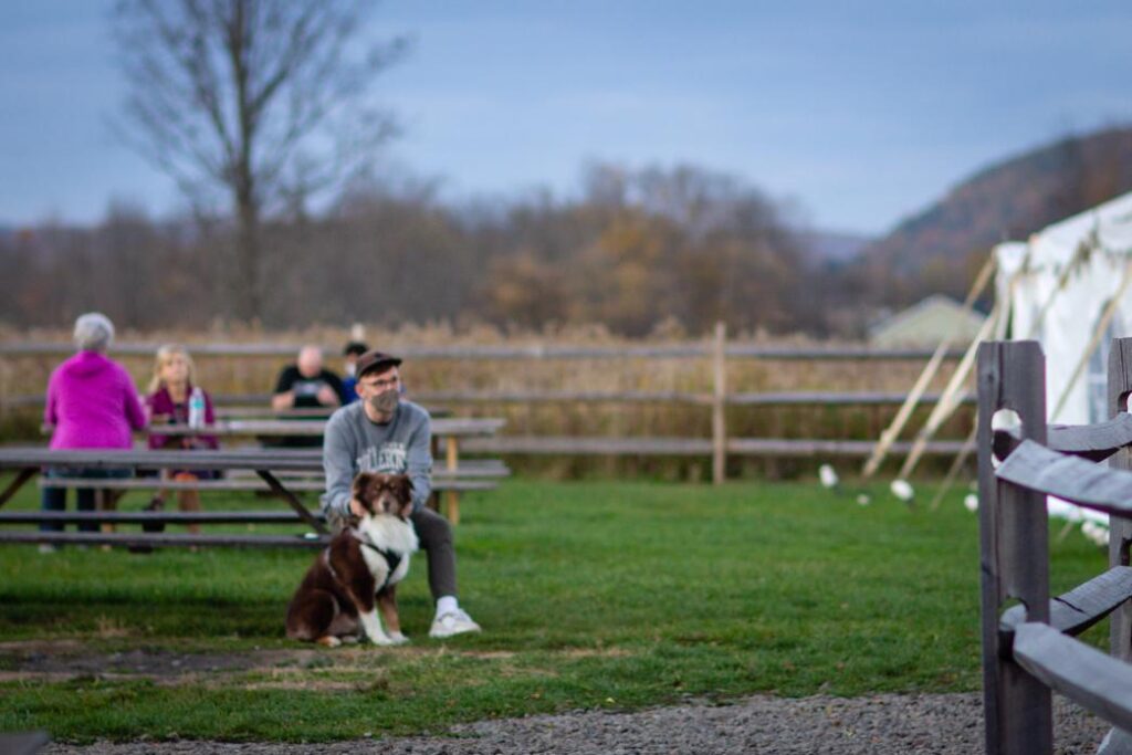 dog on a leash at Red Shed Brewery beer garden in Cooperstown, NY