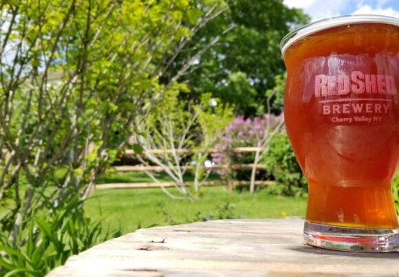 Introduction to: The Red Ale Blog, Red Shed Brewing
