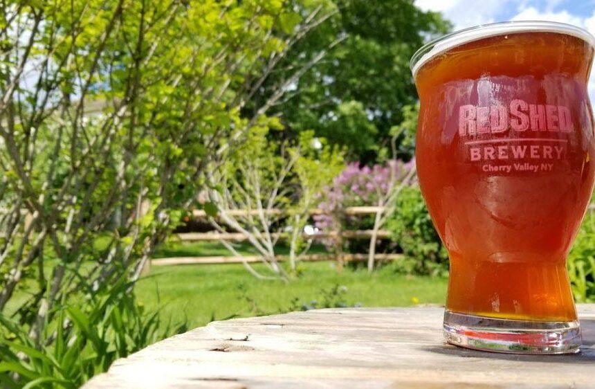 Introduction to: The Red Ale, Red Shed Brewing