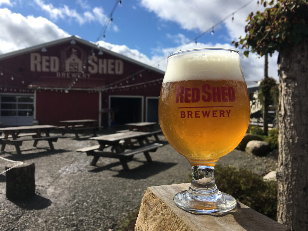 Introduction to: The “IPA” or India Pale Ale, Red Shed Brewing