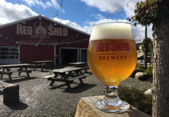 Introduction to: The “IPA” or India Pale Ale Blog, Red Shed Brewing