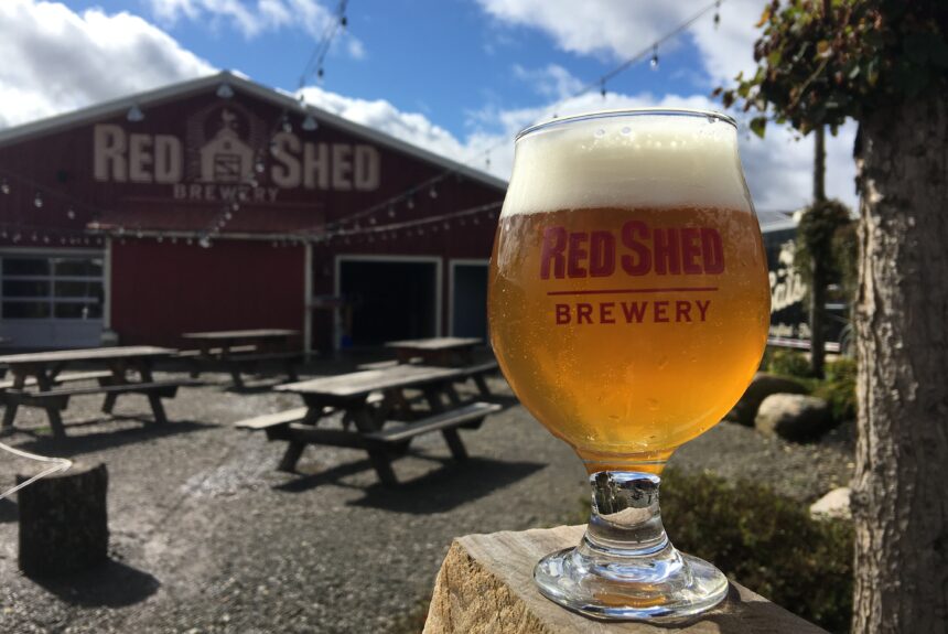 Introduction to: The “IPA” or India Pale Ale, Red Shed Brewing