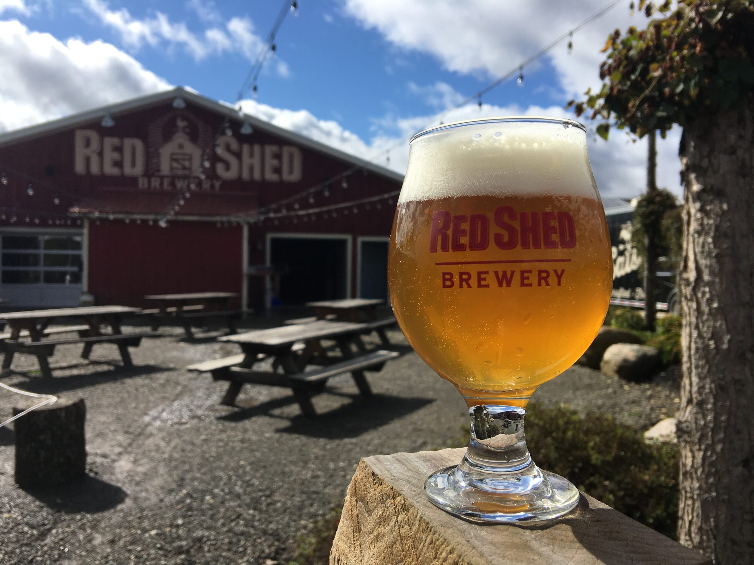 Loose Rooster Double IPA, Red Shed Brewing