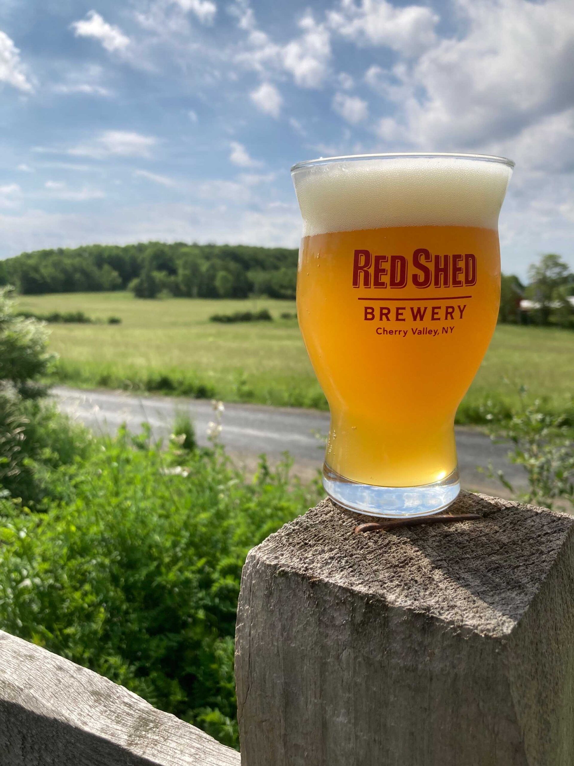 Hazy Variations Vol. 1, Red Shed Brewing